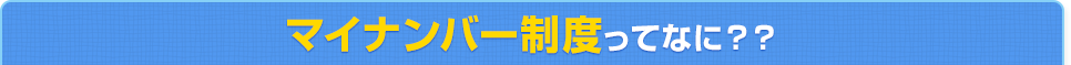 マイナンバー制度ってなに?
